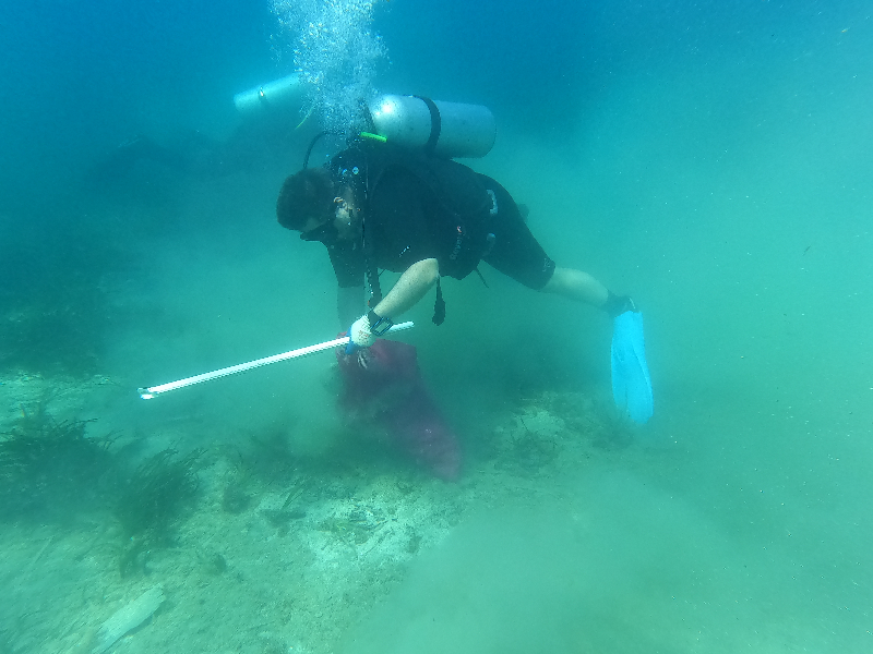 Bodrum'da dalgıçlar deniz dibi temizliği yaptı