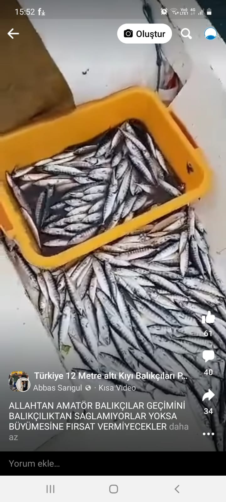 Karadeniz'den bebek palamut manzaraları (YORUMSUZ)