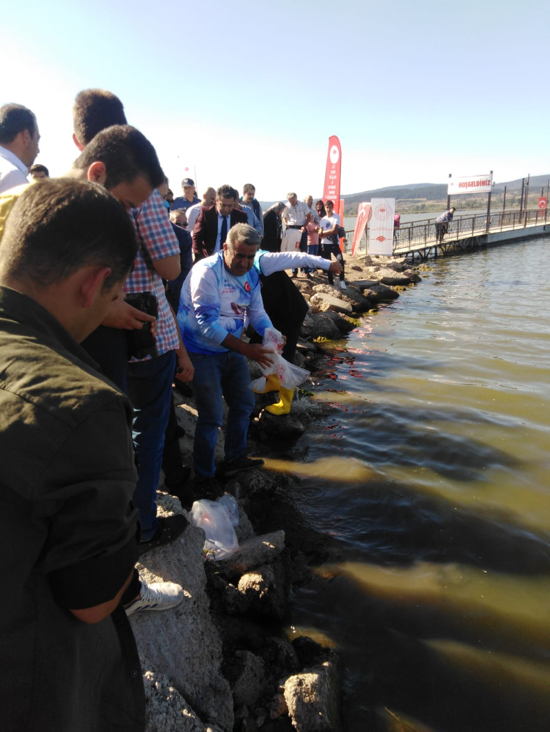 Bolu'da Yeniçağa Gölü'ne 350 bin balık yavrusu salındı