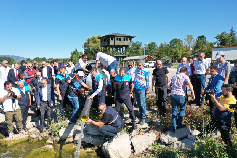 Bolu'da Yeniçağa Gölü'ne 350 bin balık yavrusu salındı