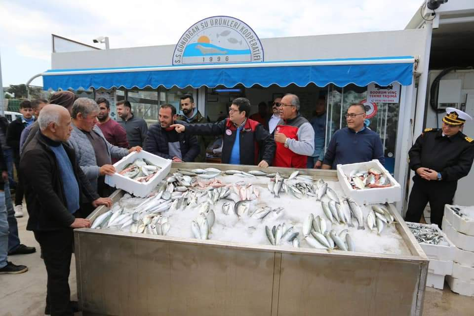 Depremzedeler için Bodrum'da Rekor Balık Mezatı