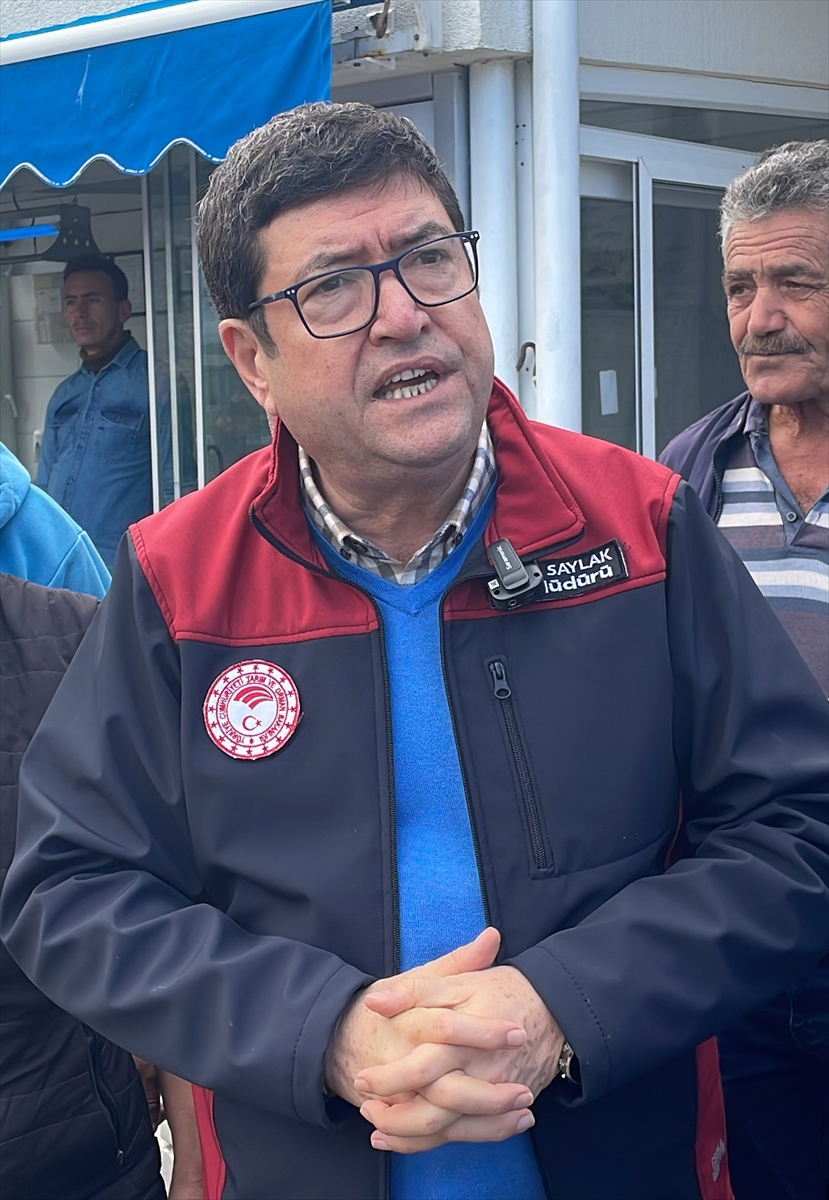Depremzedeler için Bodrum'da Rekor Balık Mezatı