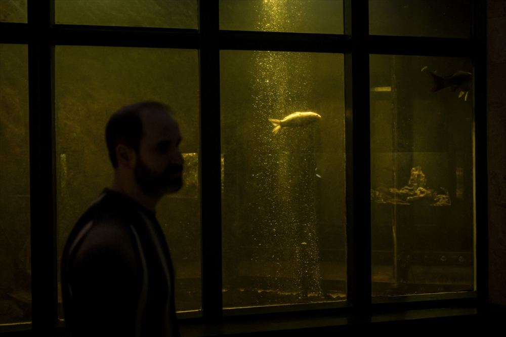 Savaşın gölgesinde akvaryumda ısıtma mesaisi