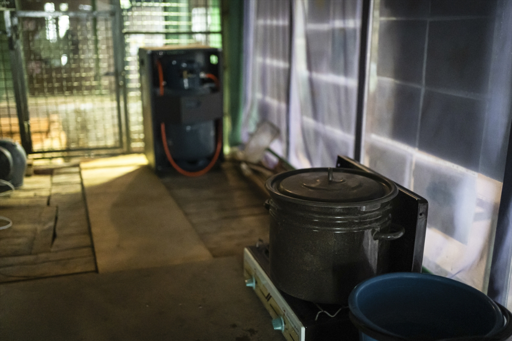 Savaşın gölgesinde akvaryumda ısıtma mesaisi