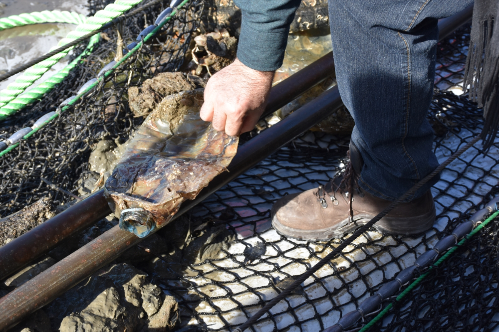 KTÜ'nün deniz çöplerinin azaltılması amacıyla hazırladığı LitOUTer Projesi sona erdi
