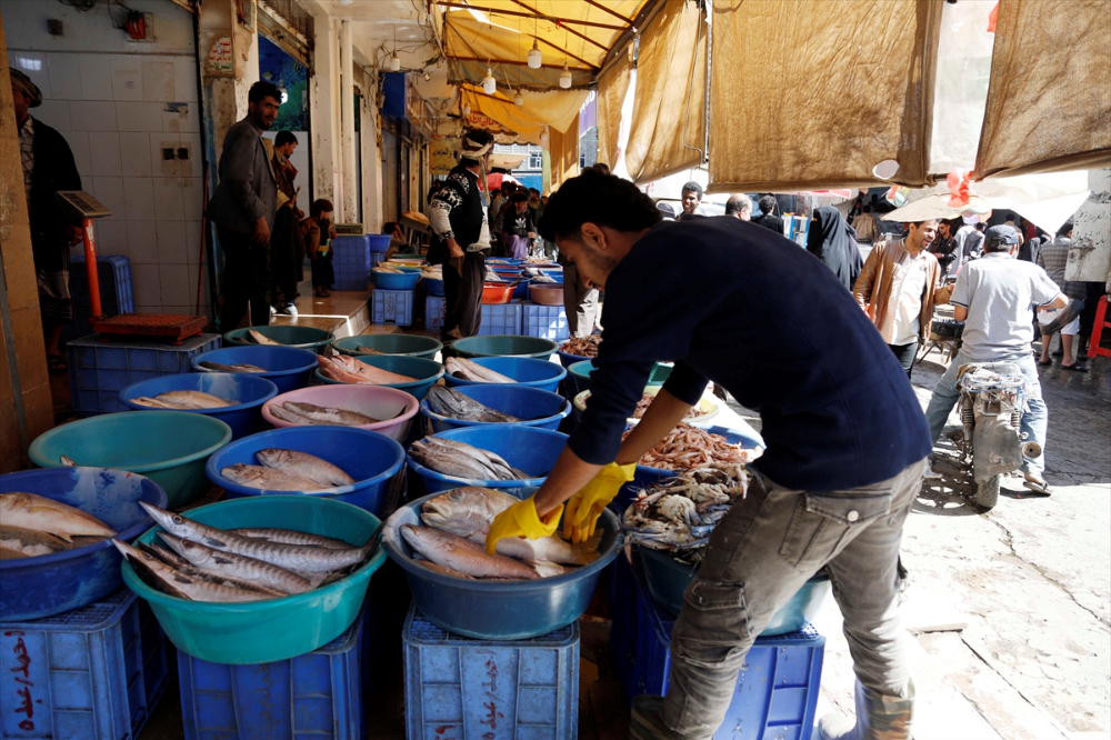 Yemen'de deniz ürünleri ihracatının durdurulması