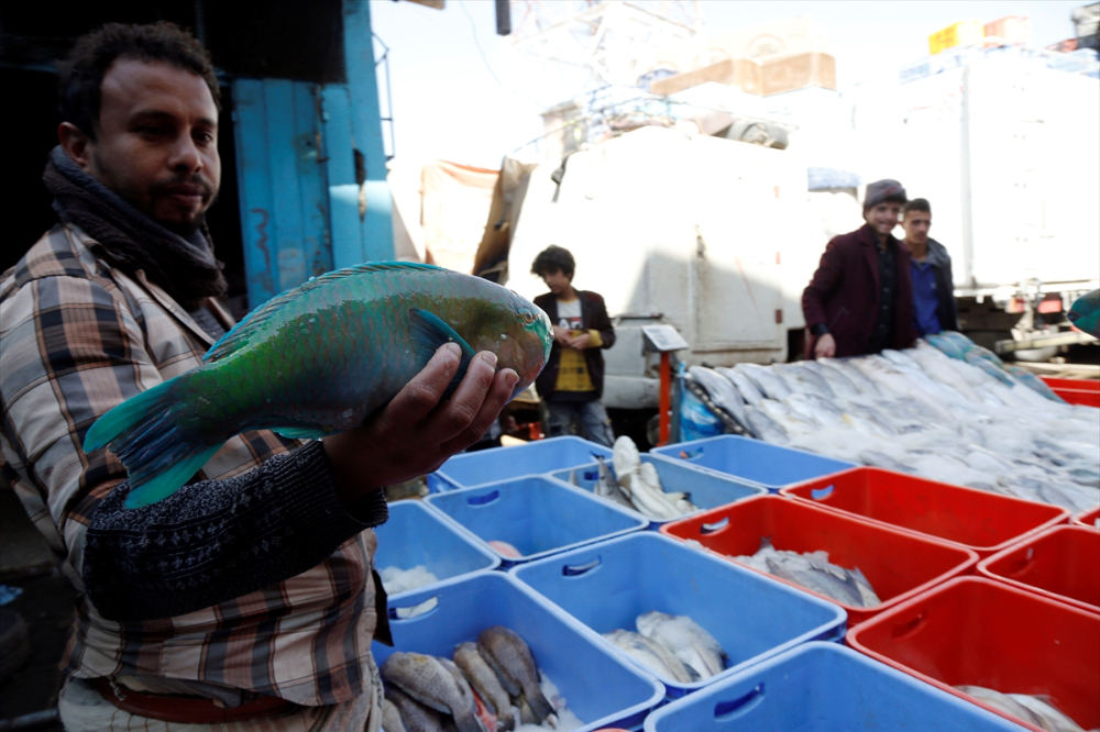 Yemen'de deniz ürünleri ihracatının durdurulması
