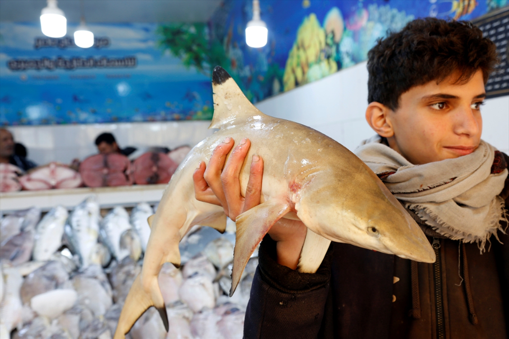 Yemen'de deniz ürünleri ihracatının durdurulması