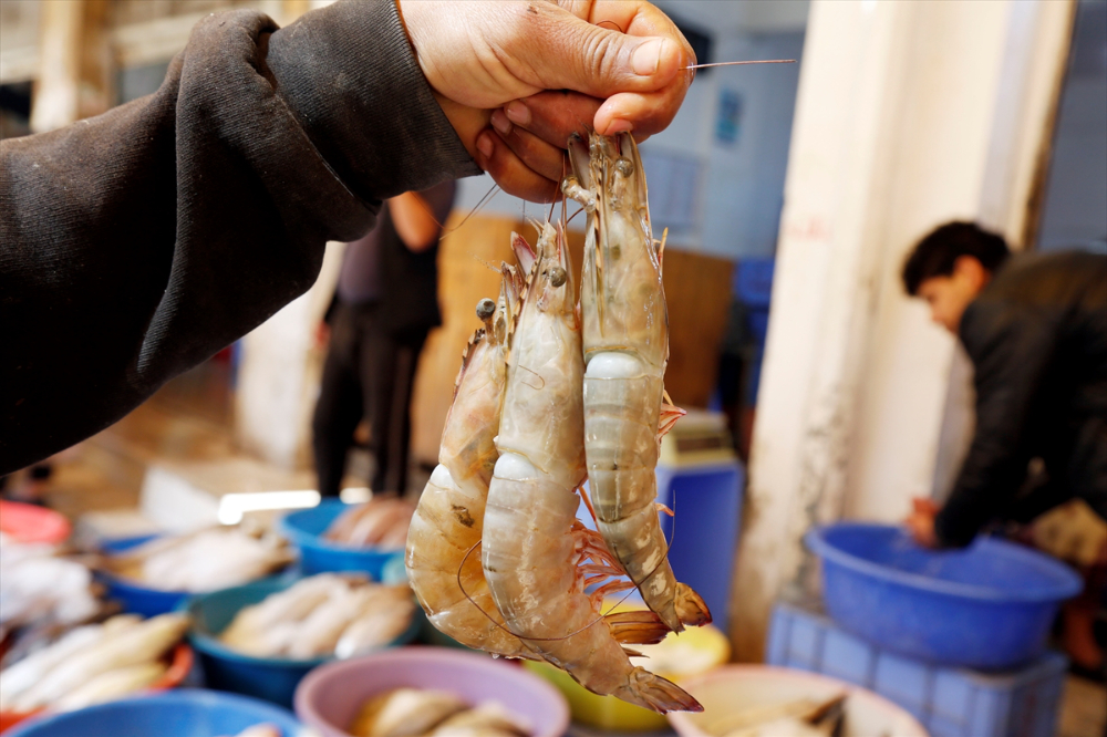 Yemen'de deniz ürünleri ihracatının durdurulması