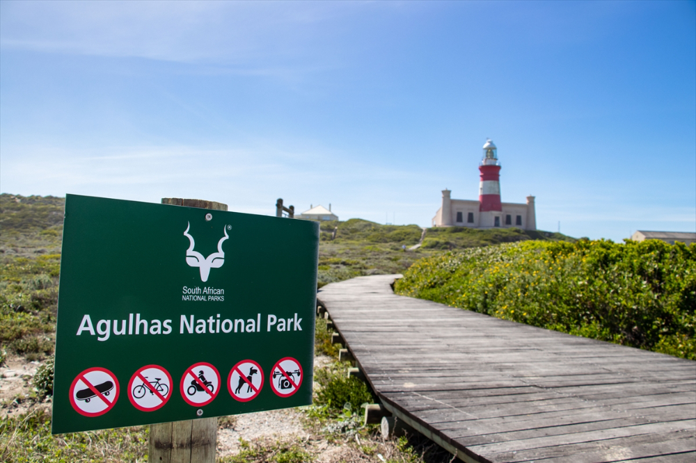 Afrika'nın en güney noktasında, okyanusların kesiştiği yer: Agulhas Burnu