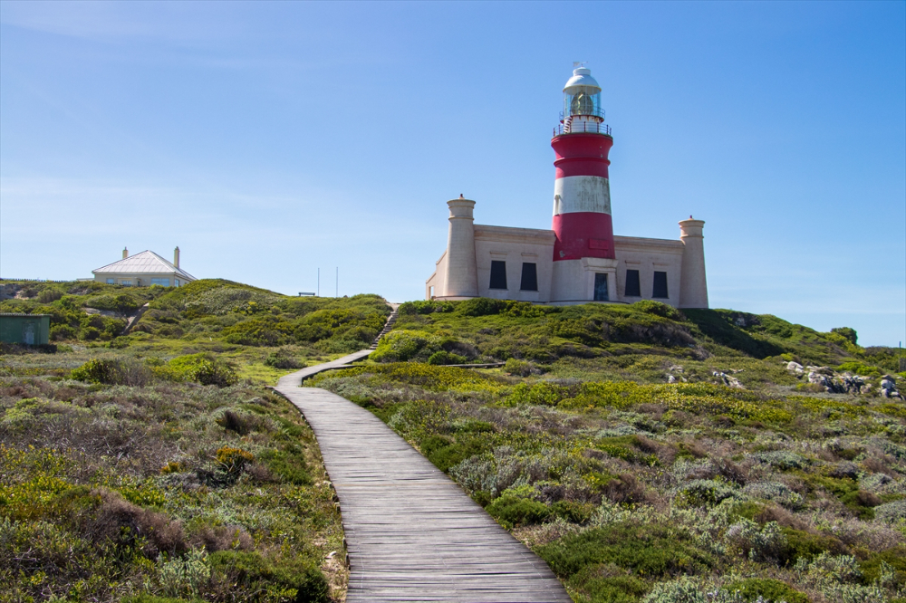 Afrika'nın en güney noktasında, okyanusların kesiştiği yer: Agulhas Burnu