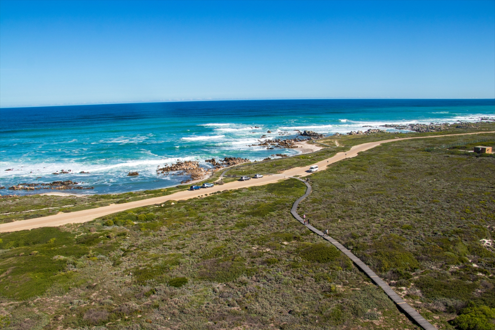 Afrika'nın en güney noktasında, okyanusların kesiştiği yer: Agulhas Burnu