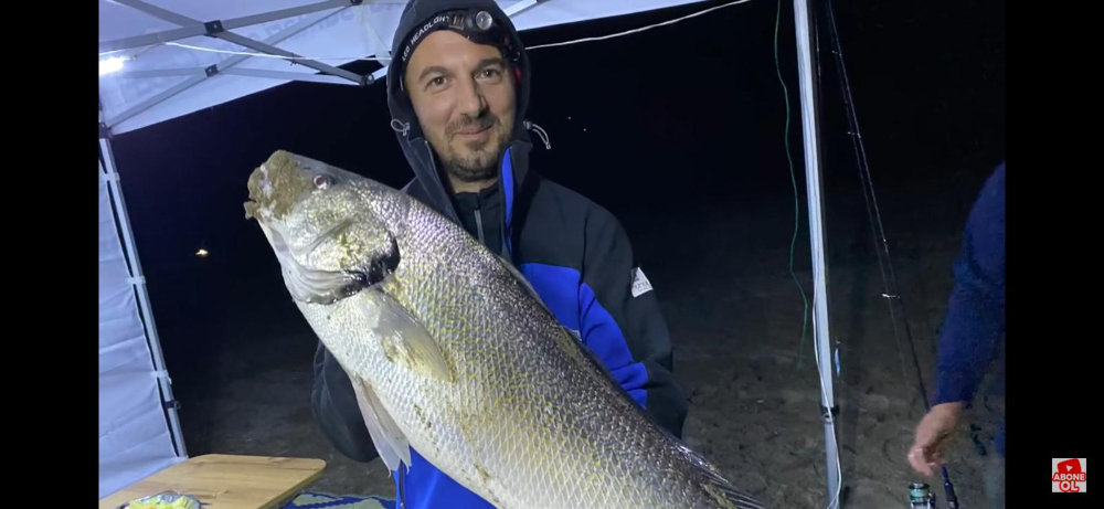 Ülkemizi Yurt Dışında Temsil Edenler : Kadir Cihan Pestil
