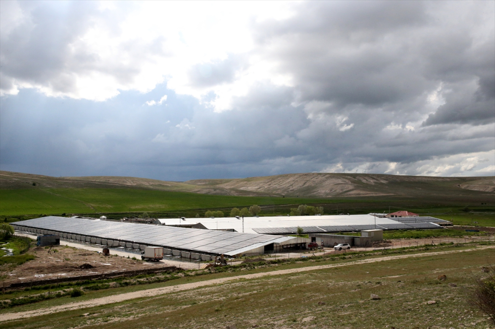 Pınarbaşı ilçesinde alabalık yavrusu üretim kapasitesi 220 milyon adede ulaştı