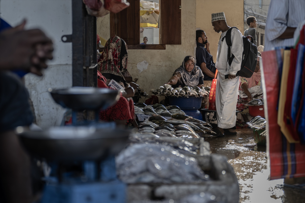 Zanzibar'ın "mercan bahçeleri" balıkçılık tehdidi altında