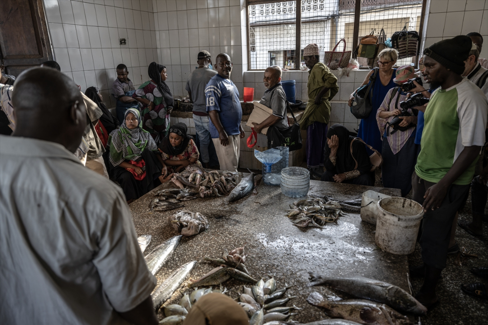 Zanzibar'ın "mercan bahçeleri" balıkçılık tehdidi altında