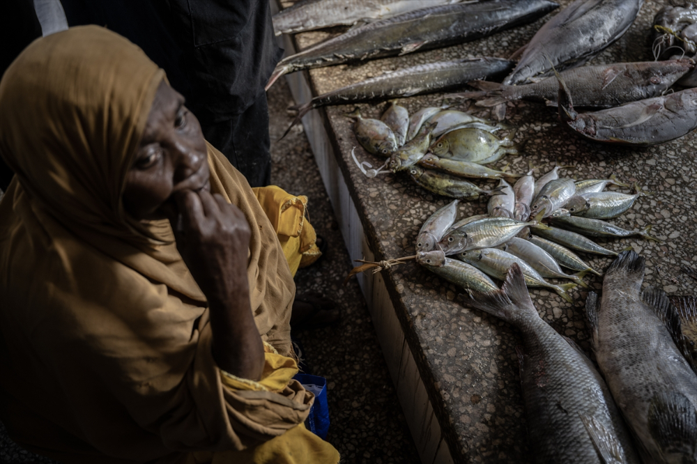 Zanzibar'ın "mercan bahçeleri" balıkçılık tehdidi altında