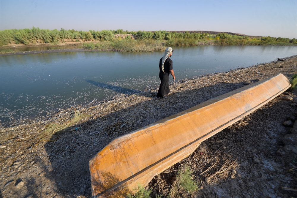 Irak’ın güneyinde tonlarca nehir balığı, oksijensiz kalınca can verdi