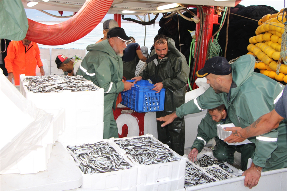 Güney Marmara'da av sezonu sardalya, hamsi ve istavritle başladı