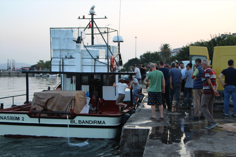 Güney Marmara'da av sezonu sardalya, hamsi ve istavritle başladı