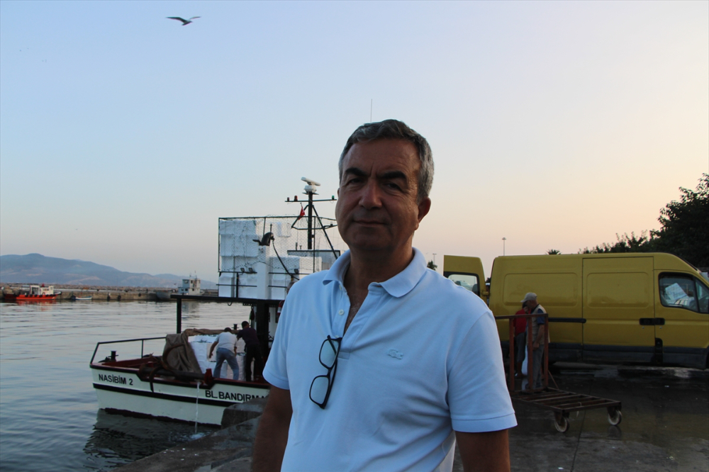 Güney Marmara'da av sezonu sardalya, hamsi ve istavritle başladı