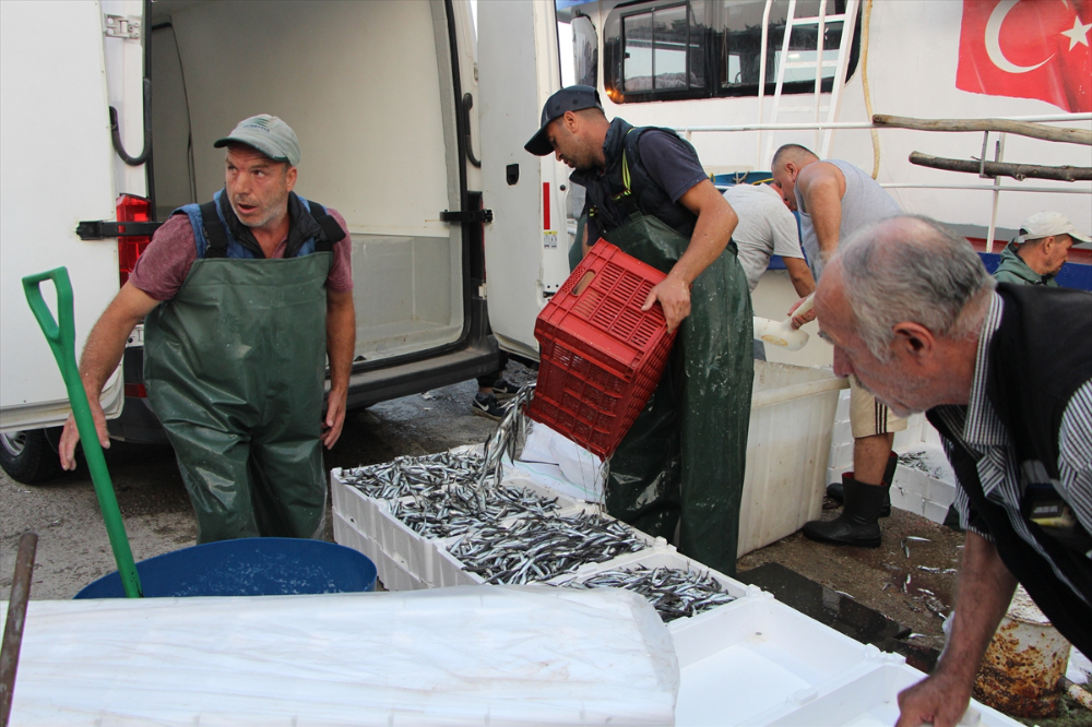 Güney Marmara'da av sezonu sardalya, hamsi ve istavritle başladı