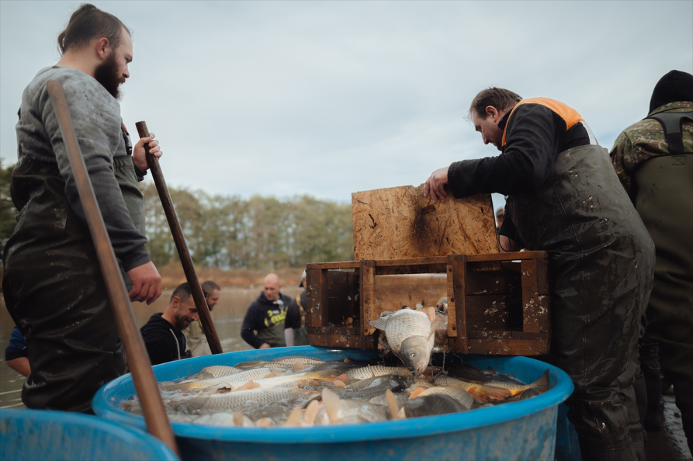 Slovakyalı balıkçıların geleneksel balık avı