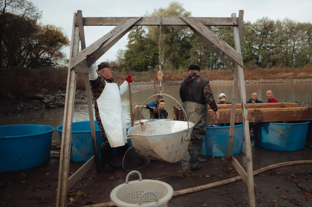 Slovakyalı balıkçıların geleneksel balık avı