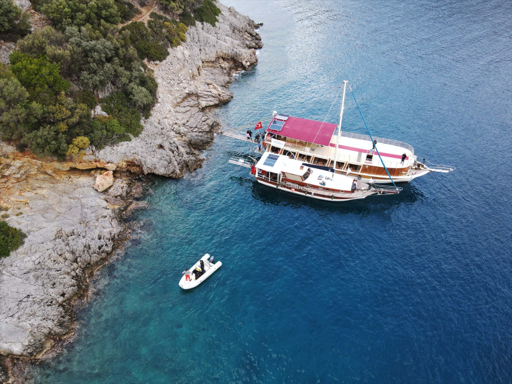 Göcek Körfezi'ne deniz çayırı ekimi yapıldı