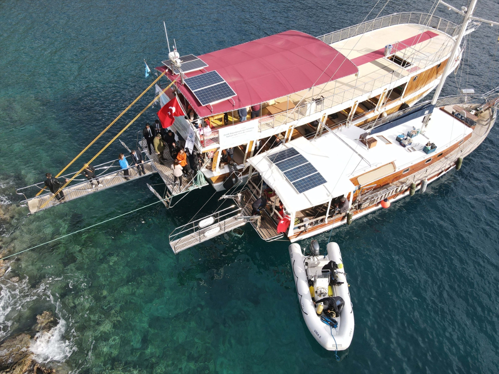 Göcek Körfezi'ne deniz çayırı ekimi yapıldı