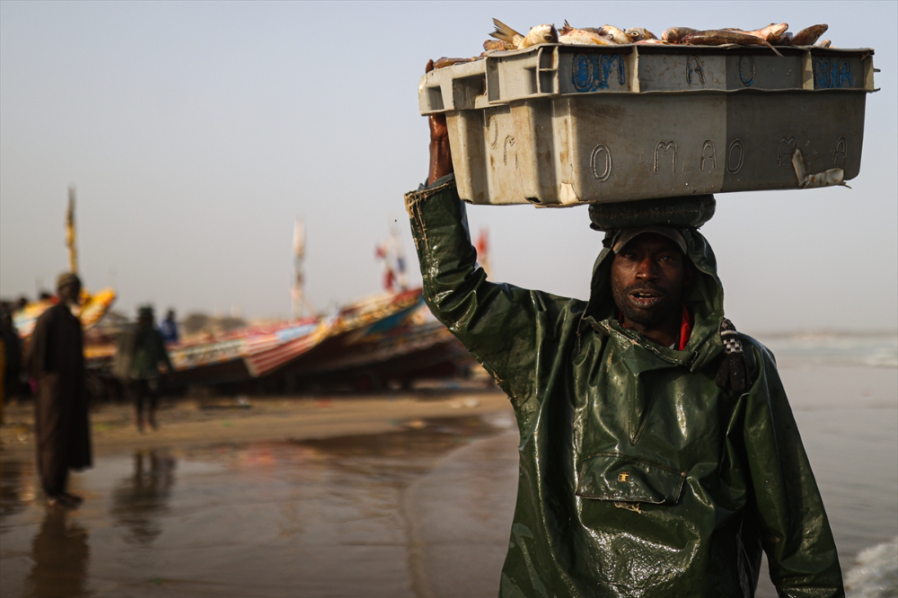 Senegal’de halkın geçim kaynağı ‘’balıkçılık’’