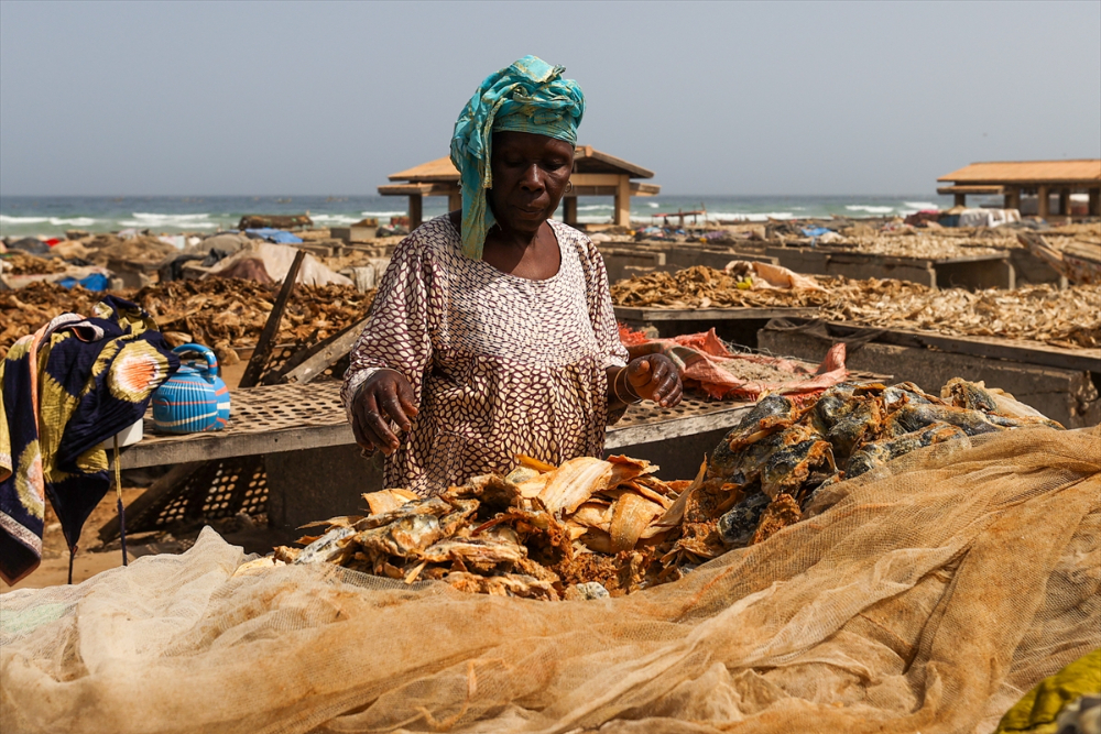 Senegal’de halkın geçim kaynağı ‘’balıkçılık’’