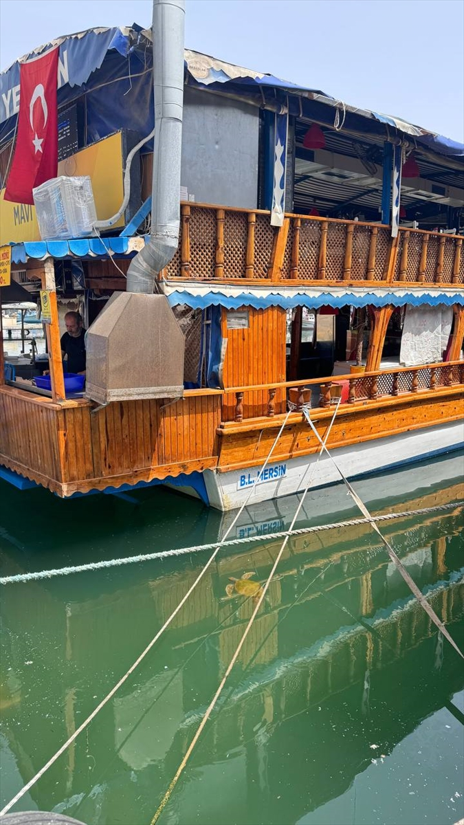 Mersin'de balıkçılar deniz kaplumbağaları konusunda bilinçlendiriliyor