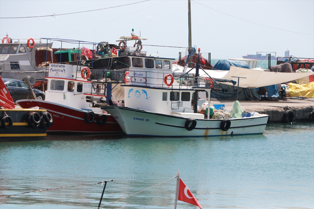 Tekirdağ'da küçük teknelerin tuttuğu balıklar tezgahları süslüyor