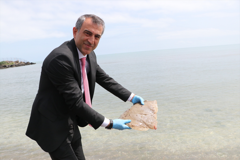 Trabzon'da 10 kalkan denize bırakıldı