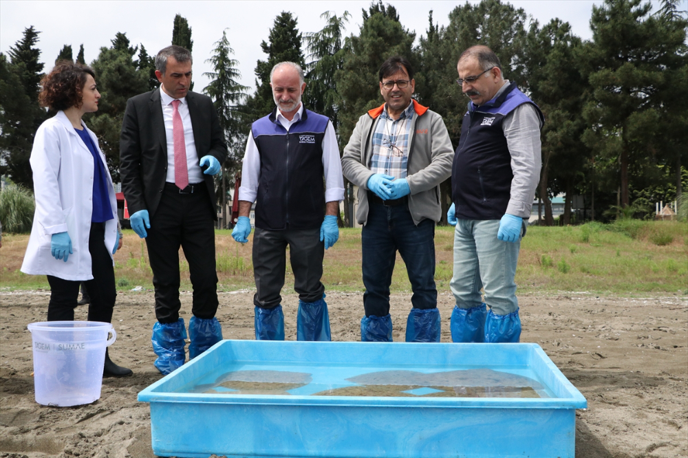 Trabzon'da 10 kalkan denize bırakıldı