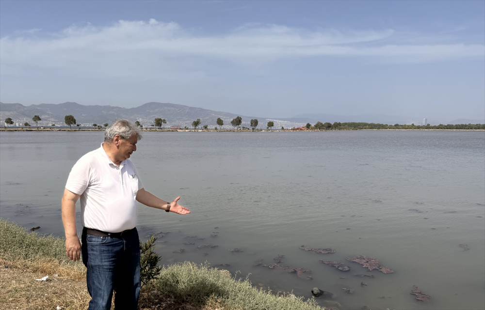 İzmir'de plankton patlaması denizin rengini değiştirdi
