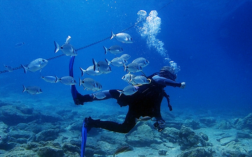 Bodrum, su altı zenginlikleriyle ziyaretçilerini ağırlıyor