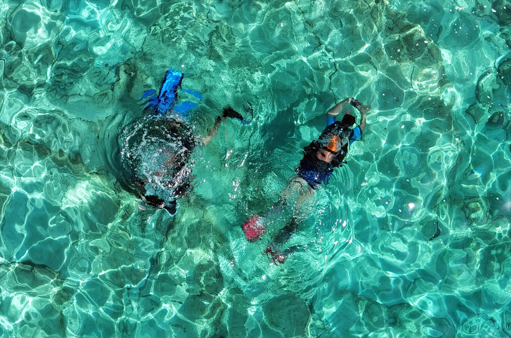 Bodrum, su altı zenginlikleriyle ziyaretçilerini ağırlıyor