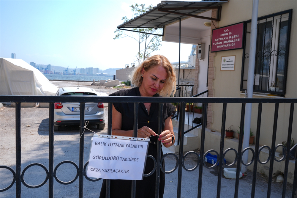 İzmir Körfezi'ndeki kirlilik en çok dip balıklarını öldürüyor