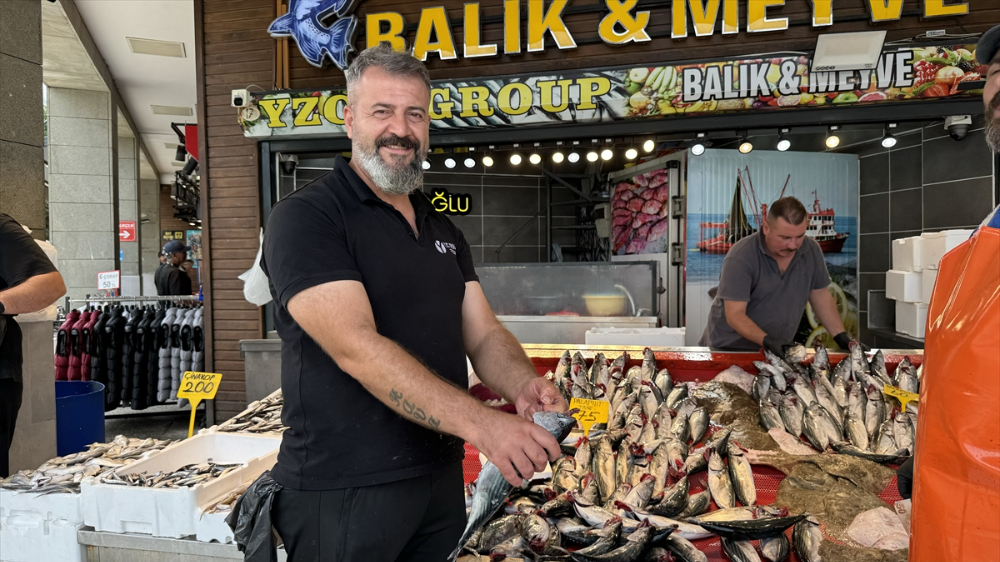 Palamut avında bu sezon bolluk yaşanıyor