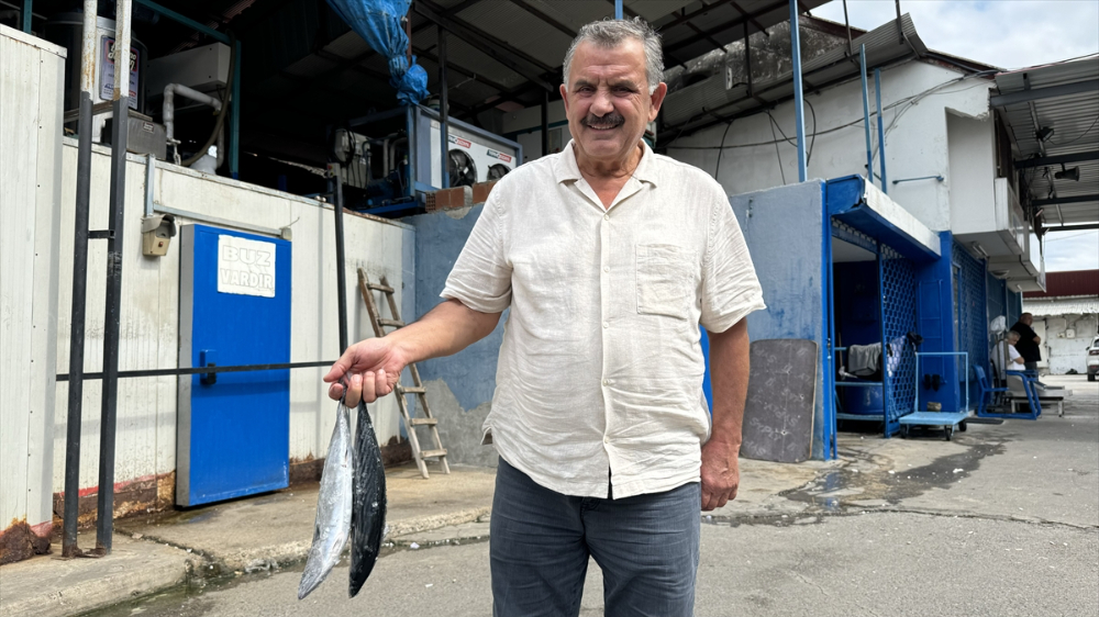 Palamut avında bu sezon bolluk yaşanıyor