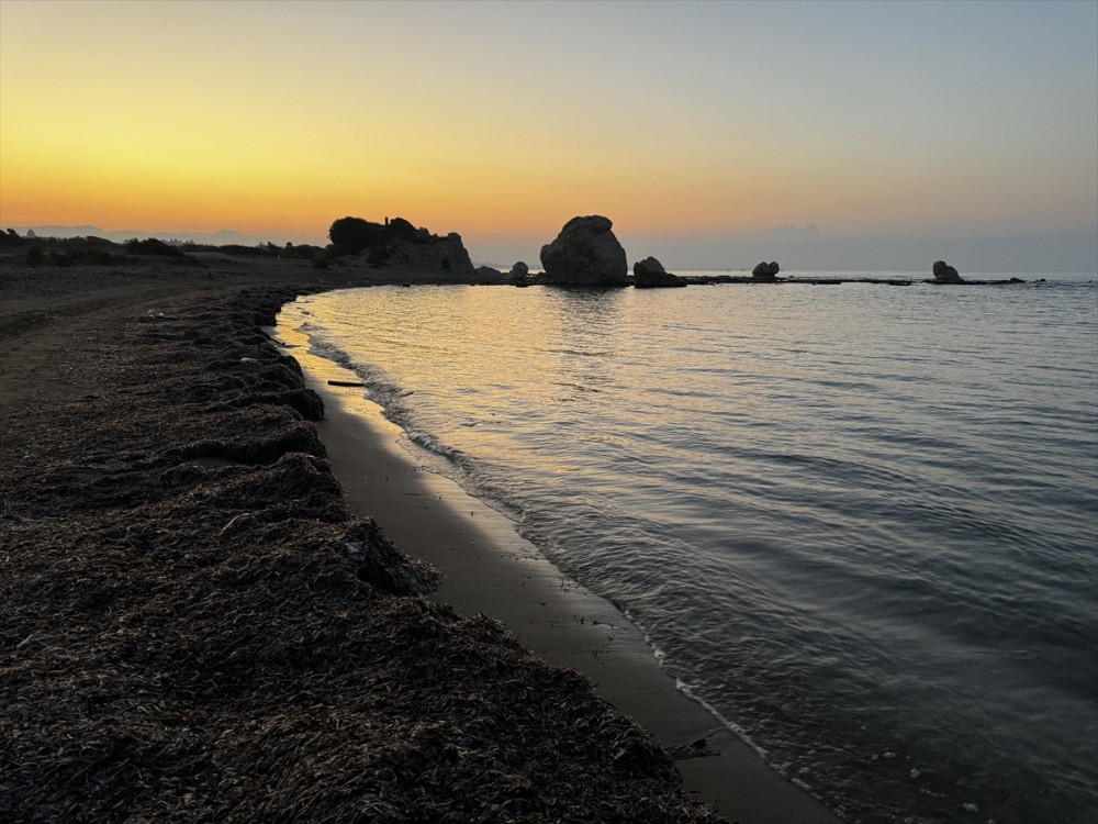 Antalya'da caretta caretta yavrularının yuvalarından çıkışı görüntülendi
