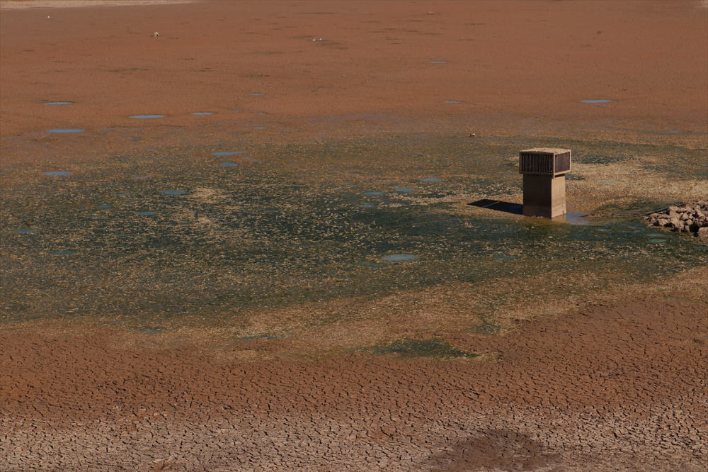 Kilis'te sulama göletinde sular çekilince balık ölümleri yaşandı