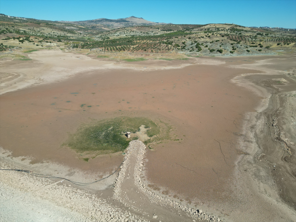 Kilis'te sulama göletinde sular çekilince balık ölümleri yaşandı