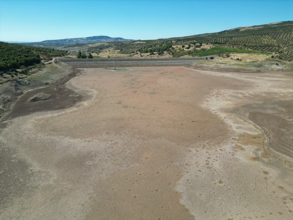 Kilis'te sulama göletinde sular çekilince balık ölümleri yaşandı
