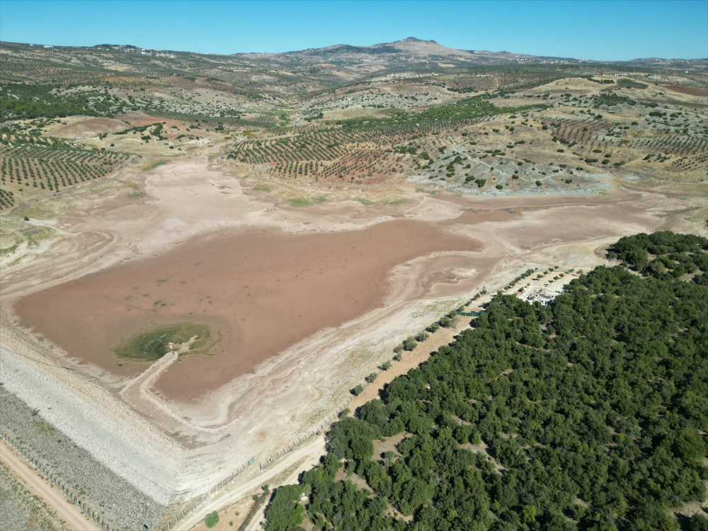 Kilis'te sulama göletinde sular çekilince balık ölümleri yaşandı