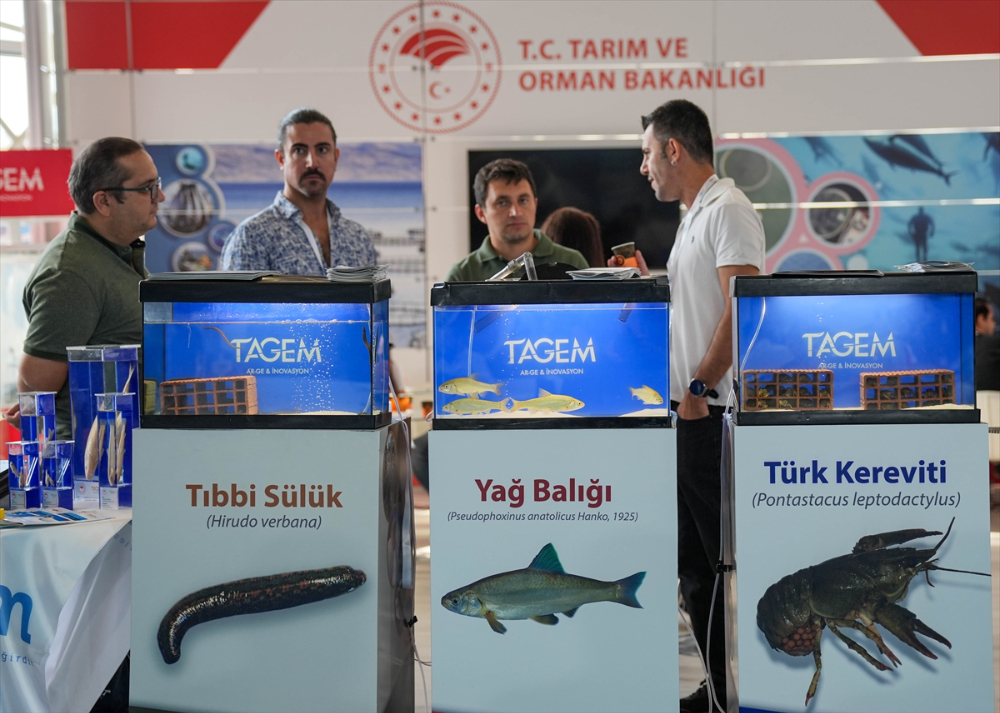 Future Fish Eurasia 2024 Sektörü Buluşturdu
