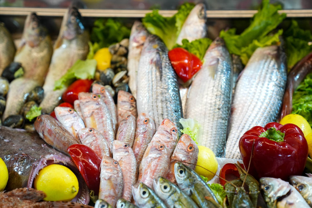 Future Fish Eurasia 2024 Sektörü Buluşturdu