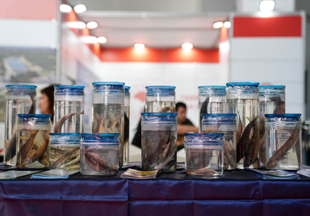 Future Fish Eurasia 2024 Sektörü Buluşturdu